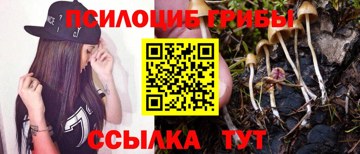Гурьевск  Псилоцибиновые грибы MAGIC MUSHROOMS  Вход с VPN  Псилоцибиновые грибы ЛСД 